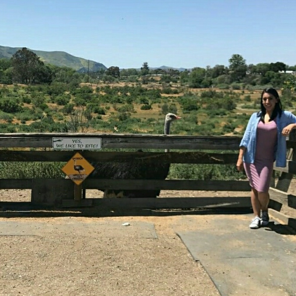 Meet your Posher, Jess